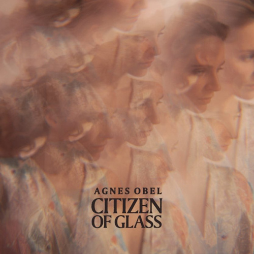 OBEL, AGNES - CITIZEN OF GLASSAGNES OBEL CITIZEN OF GLASS.jpg